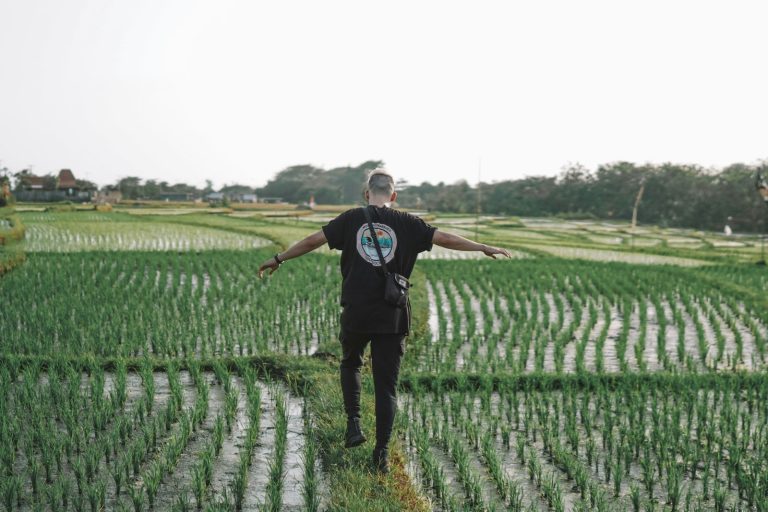 Walking along rice field paths in Canggu, Bali